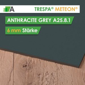 TRESPA® METEON® Anthracite Grey - A25.8.1 - Stärke 6mm - 4270 x 2130